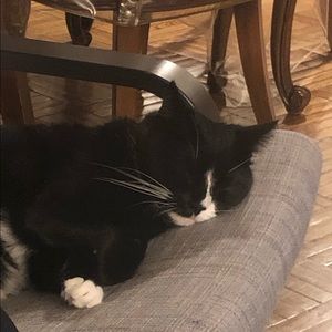 Meet your Posher, Rachel